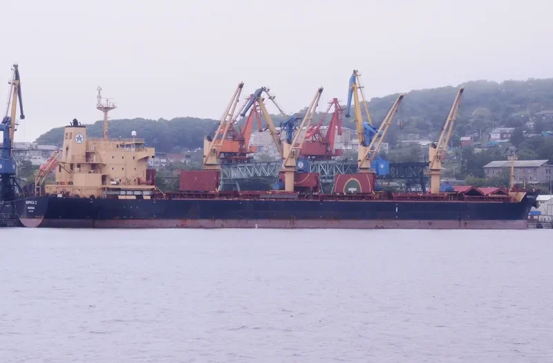 SOPHIA Z Bulk Carrier IMO 9445708 photo 8