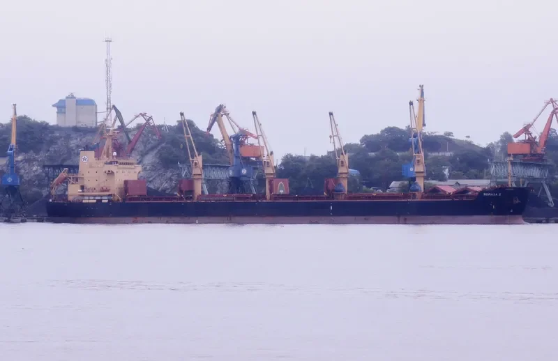 SOPHIA Z Bulk Carrier IMO 9445708 photo 9