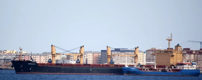SOPHIA Z Bulk Carrier IMO 9445708 photo 10