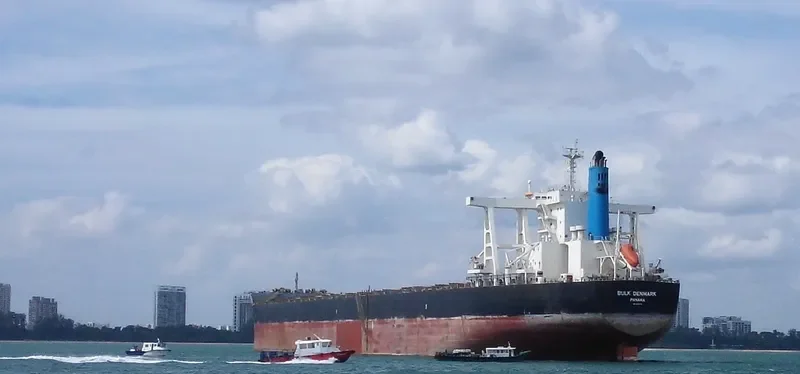BULK DENMARK Bulk Carrier IMO 9445772