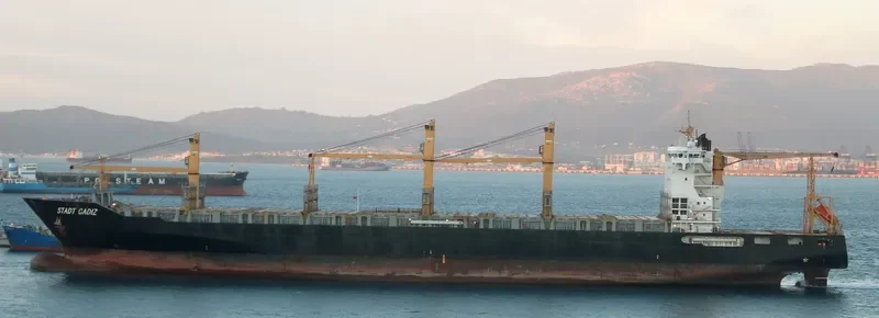 CELSIUS LIVERPOOL Container Ship IMO 9445904