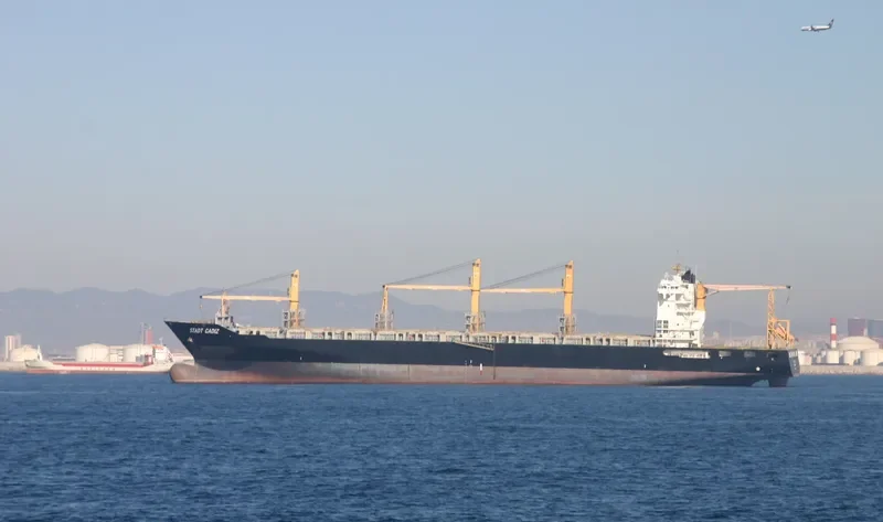 CELSIUS LIVERPOOL Container Ship IMO 9445904 photo 7