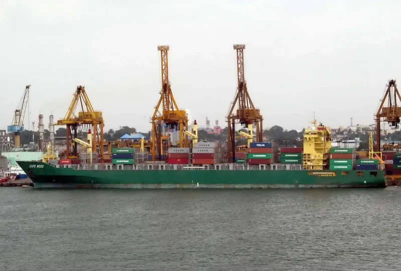 CAPE MOSS Container Ship IMO 9445916