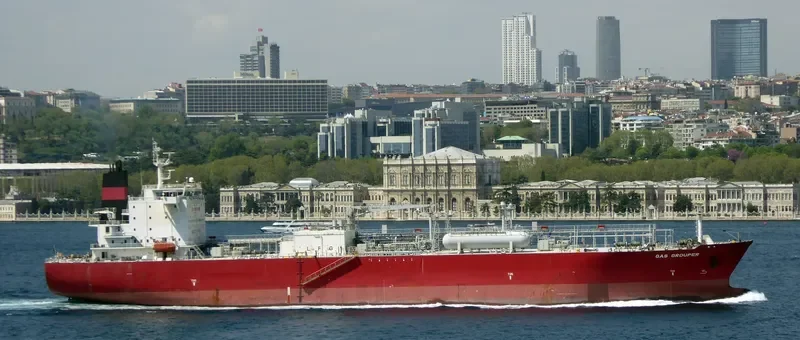 GAS GROUPER General Cargo IMO 9445954