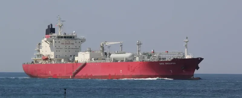 GAS GROUPER General Cargo IMO 9445954 photo 10