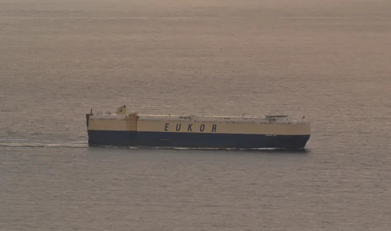 MORNING LENA General Cargo IMO 9446001