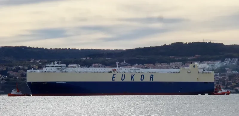 MORNING LENA General Cargo IMO 9446001 photo 4