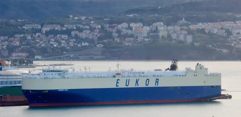 MORNING LENA General Cargo IMO 9446001 photo 5