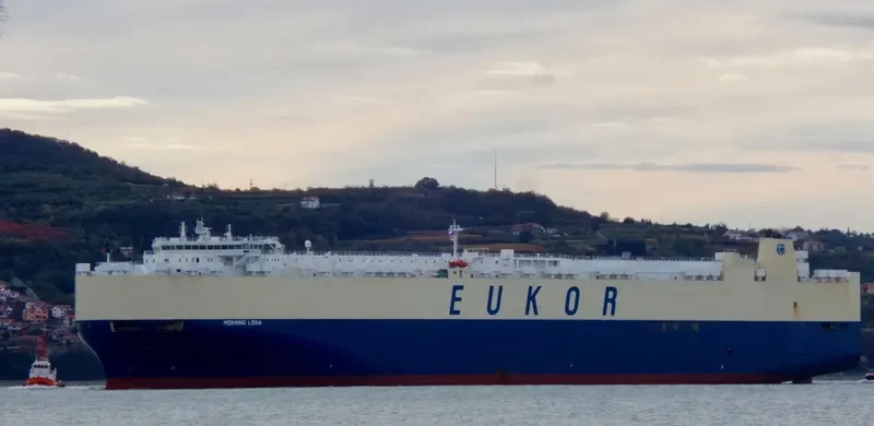 MORNING LENA General Cargo IMO 9446001 photo 7