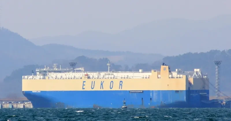 MORNING LENA General Cargo IMO 9446001 photo 8