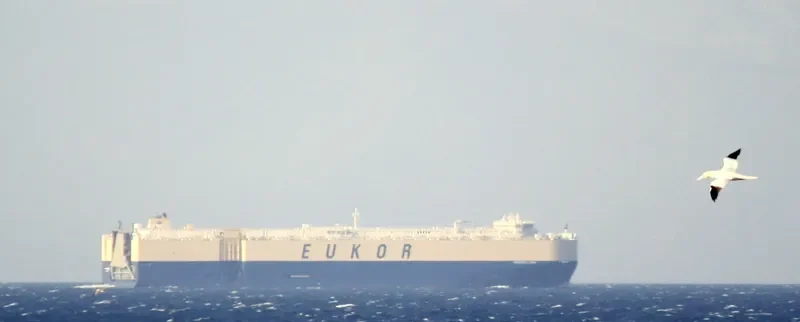 MORNING LENA General Cargo IMO 9446001 photo 9