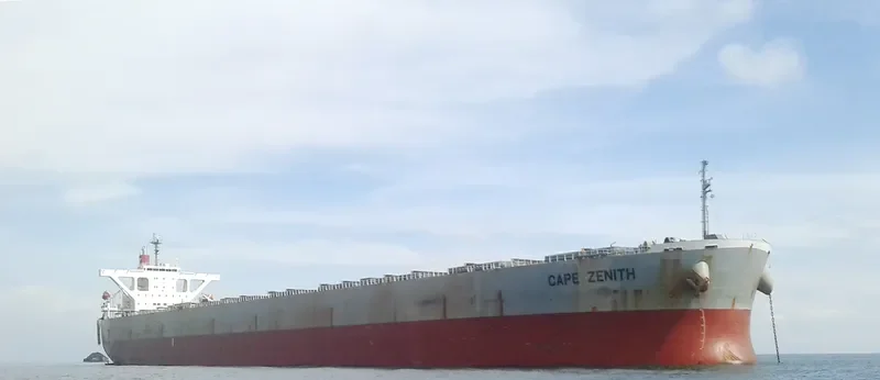 ERATO Bulk Carrier IMO 9446075