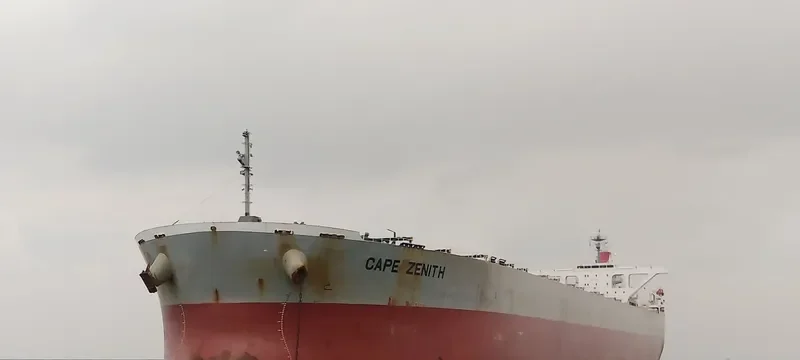 ERATO Bulk Carrier IMO 9446075 photo 2