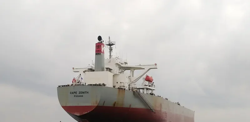 ERATO Bulk Carrier IMO 9446075 photo 3
