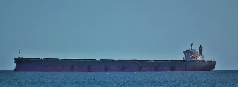 ERATO Bulk Carrier IMO 9446075 photo 5