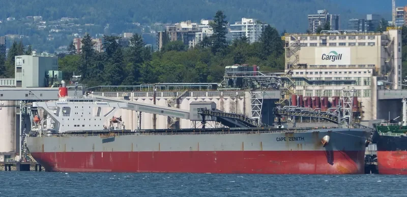 ERATO Bulk Carrier IMO 9446075 photo 6