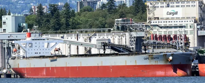 ERATO Bulk Carrier IMO 9446075 photo 7