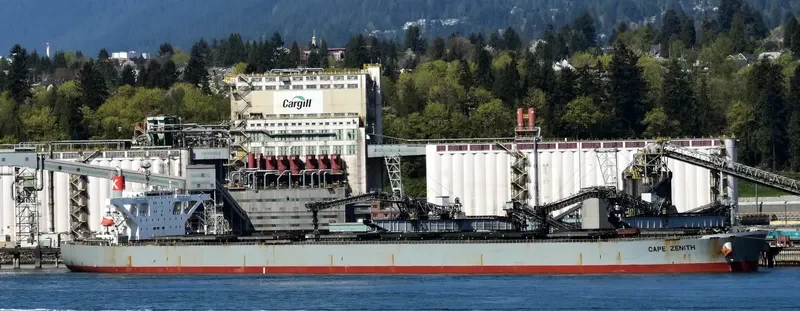 ERATO Bulk Carrier IMO 9446075 photo 9