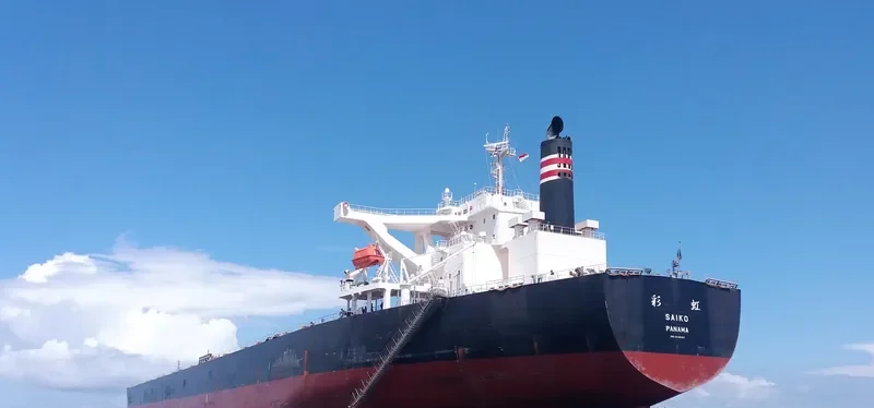 SAIKO Bulk Carrier IMO 9446087 photo 4