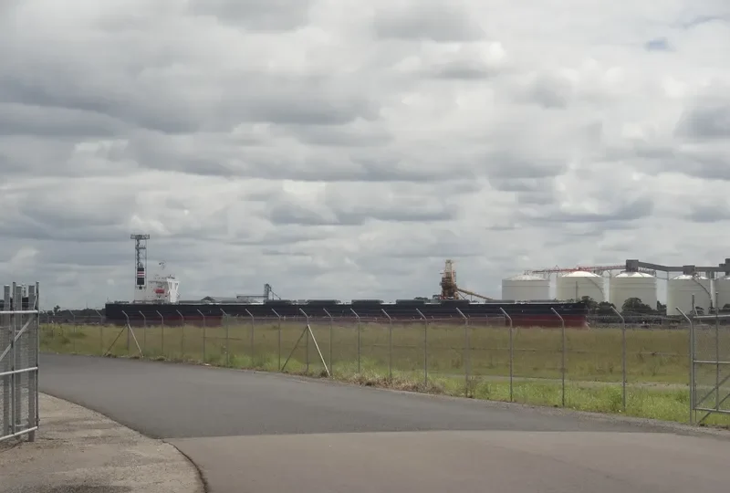 SAIKO Bulk Carrier IMO 9446087 photo 7