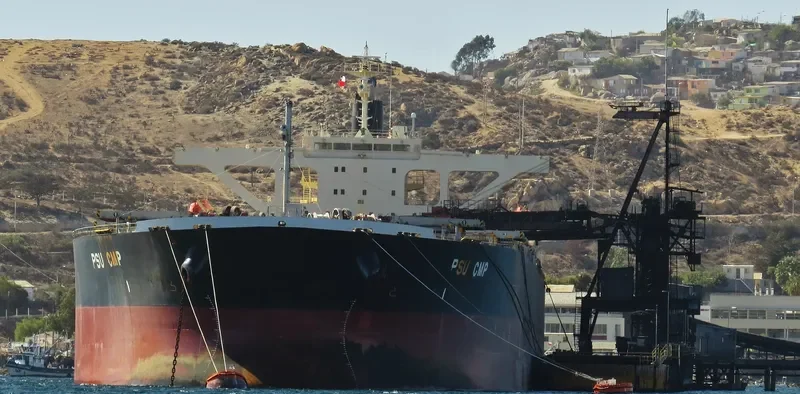 PSU CMP Bulk Carrier IMO 9446099 photo 4