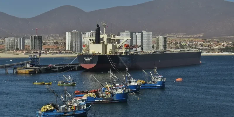 PSU CMP Bulk Carrier IMO 9446099 photo 6