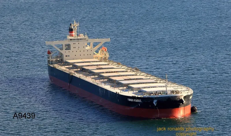 PSU CMP Bulk Carrier IMO 9446099 photo 9