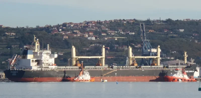 ZHOU SHAN HAI Bulk Carrier IMO 9446180 photo 6