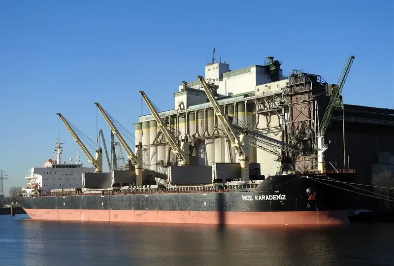 INCE KARADENIZ Bulk Carrier IMO 9446192