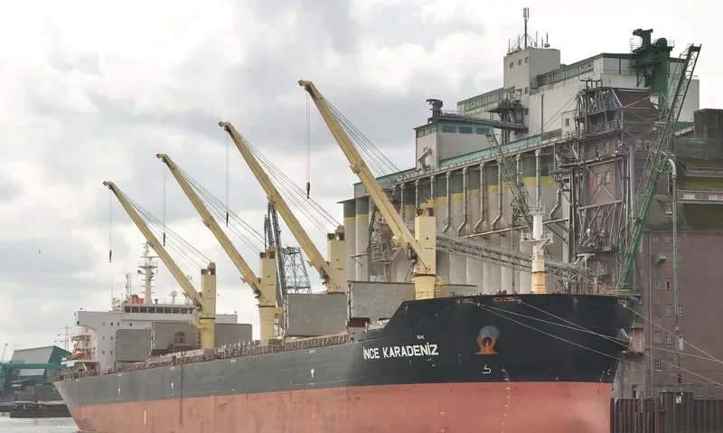 INCE KARADENIZ Bulk Carrier IMO 9446192 photo 7
