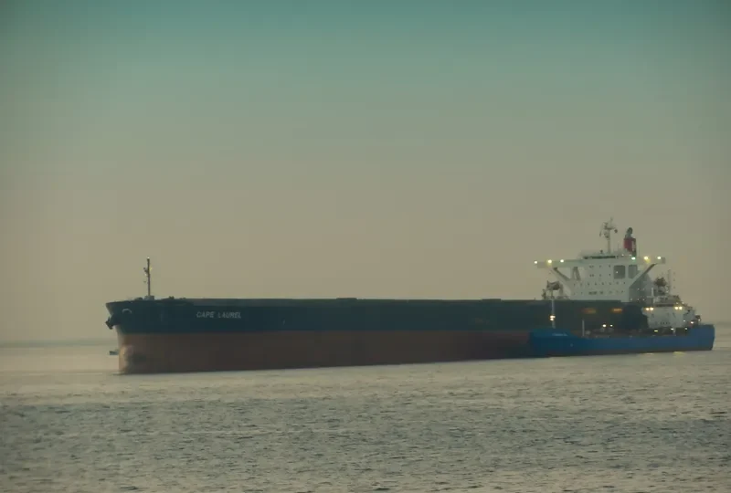CAPE LAUREL Bulk Carrier IMO 9446439