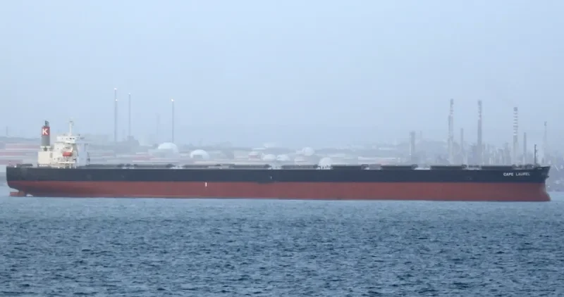 CAPE LAUREL Bulk Carrier IMO 9446439 photo 2