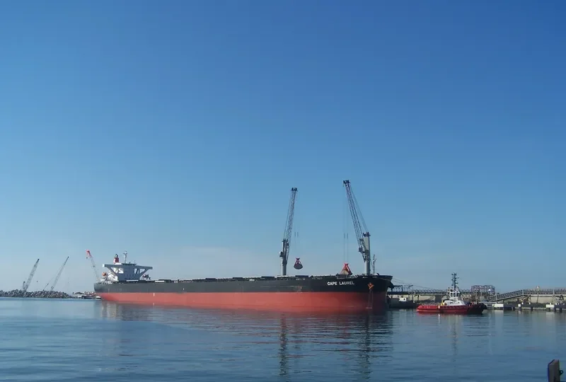 CAPE LAUREL Bulk Carrier IMO 9446439 photo 4