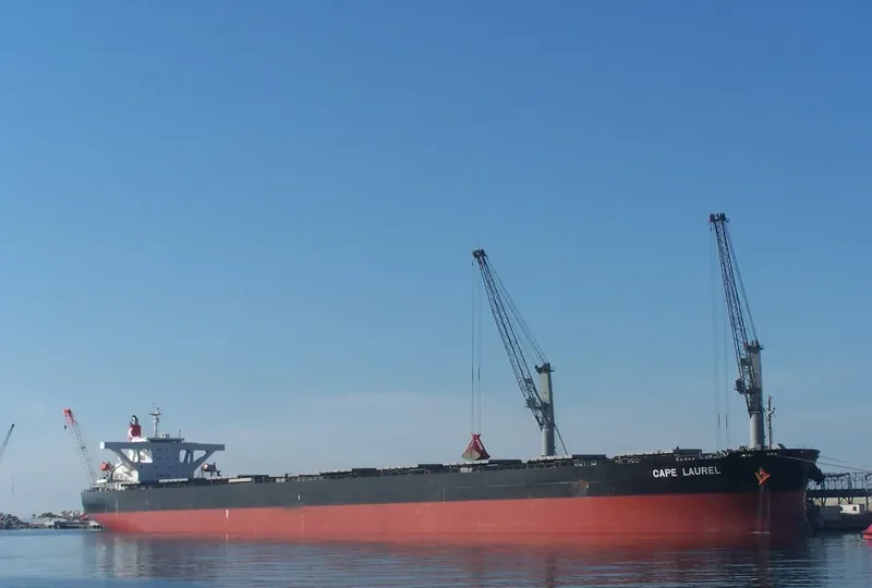 CAPE LAUREL Bulk Carrier IMO 9446439 photo 5