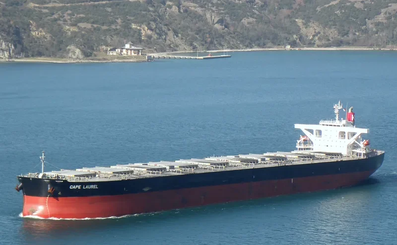 CAPE LAUREL Bulk Carrier IMO 9446439 photo 7
