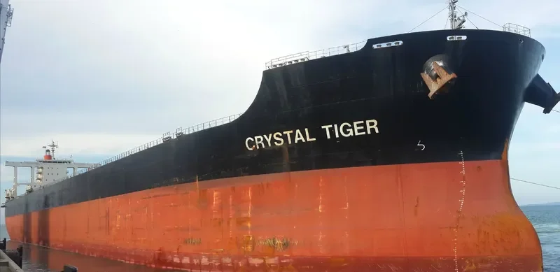 CRYSTAL TIGER Bulk Carrier IMO 9446518 photo 2