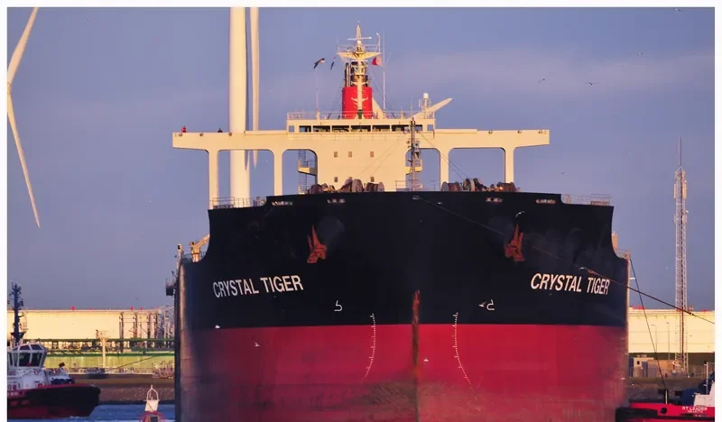 CRYSTAL TIGER Bulk Carrier IMO 9446518 photo 4