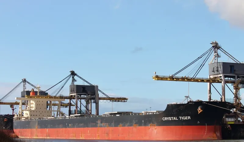CRYSTAL TIGER Bulk Carrier IMO 9446518 photo 5