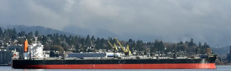 HL SHIKOKU Bulk Carrier IMO 9446532 photo 2