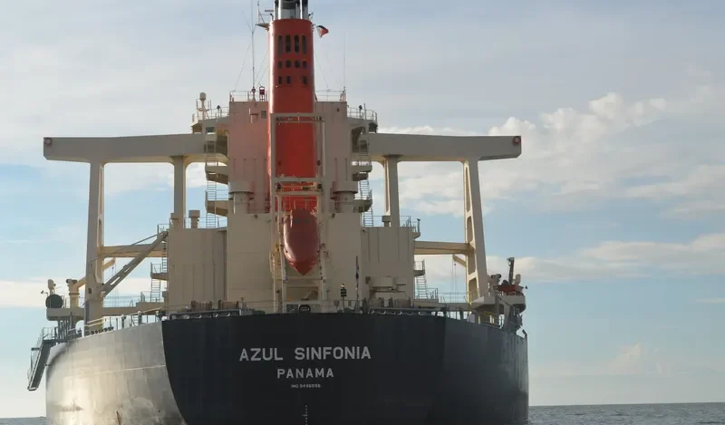 AZUL SINFONIA Bulk Carrier IMO 9446556 photo 5