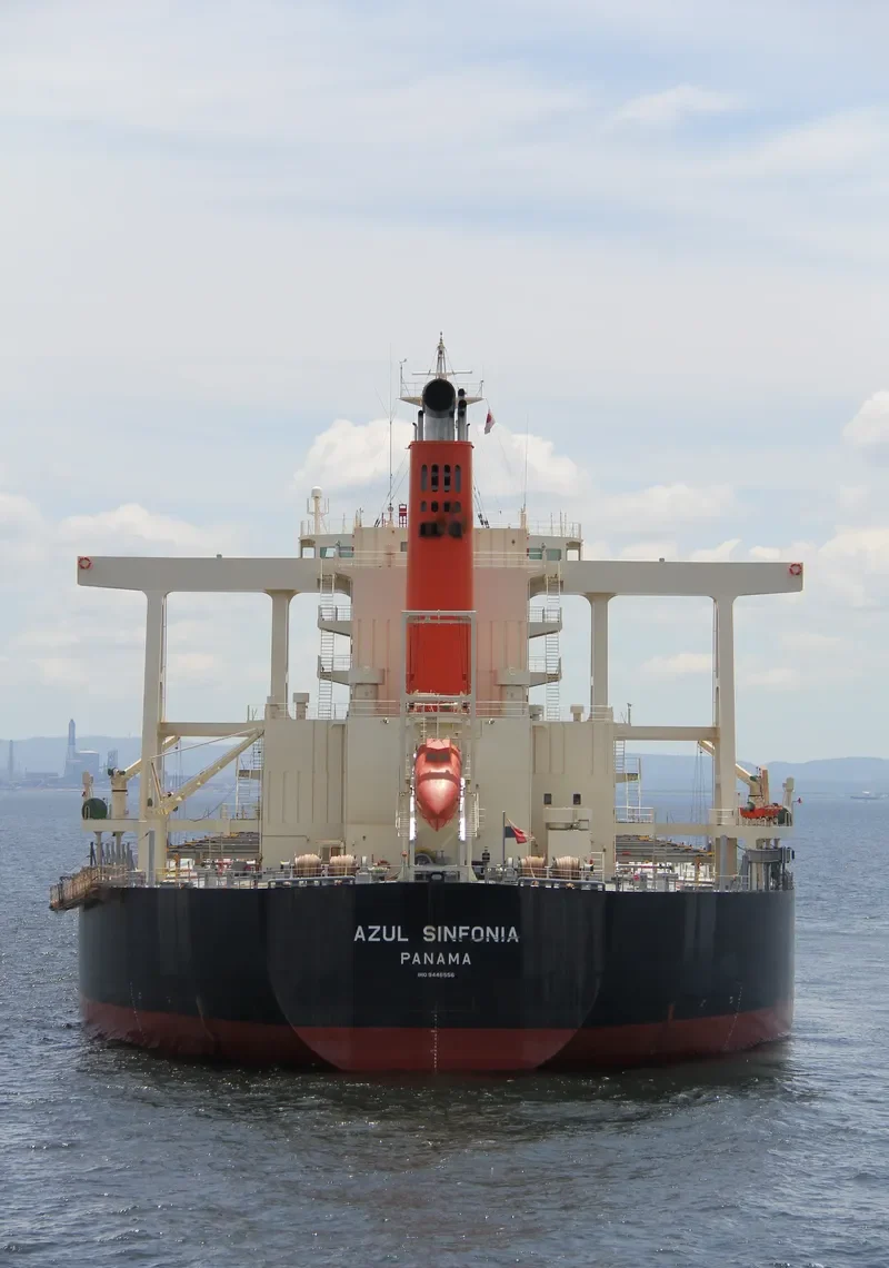AZUL SINFONIA Bulk Carrier IMO 9446556 photo 6