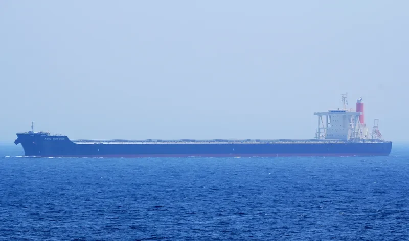 AZUL SINFONIA Bulk Carrier IMO 9446556 photo 8