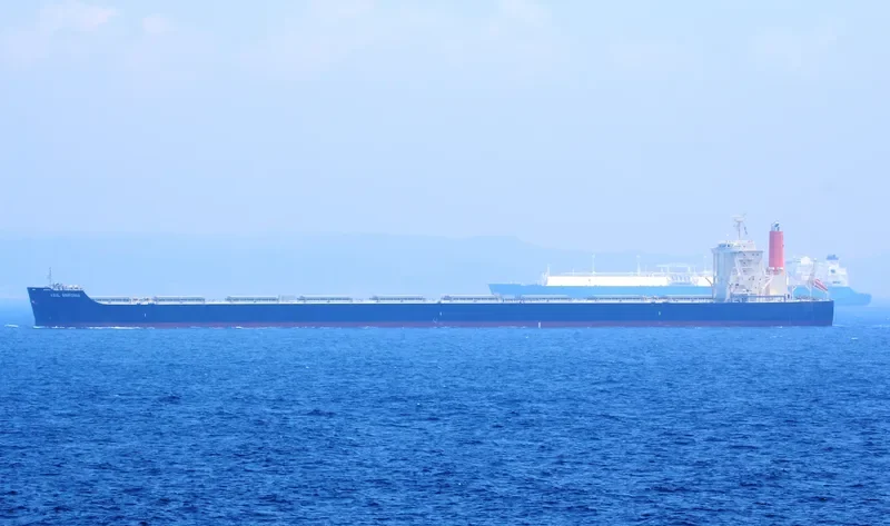 AZUL SINFONIA Bulk Carrier IMO 9446556 photo 9