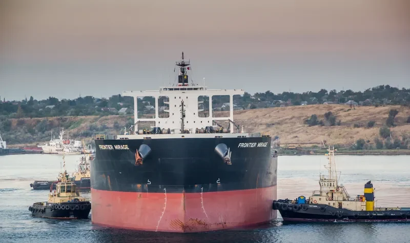 FRONTIER MIRAGE Bulk Carrier IMO 9446568 photo 6