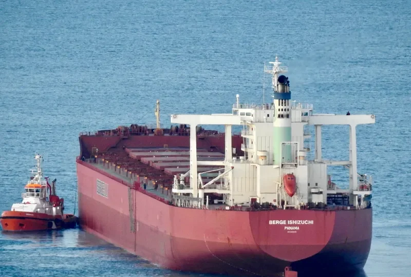 BERGE ISHIZUCHI Bulk Carrier IMO 9446570 photo 3