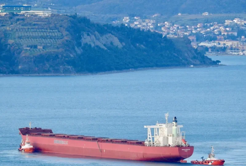 BERGE ISHIZUCHI Bulk Carrier IMO 9446570 photo 4