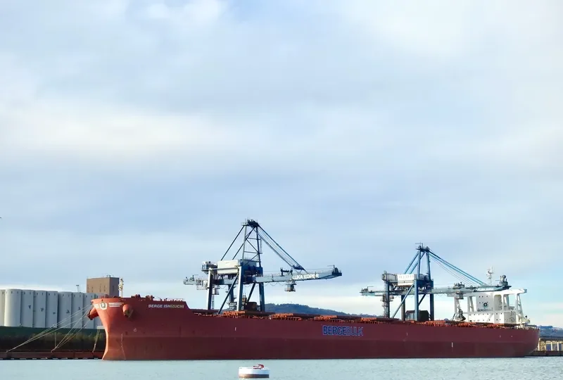 BERGE ISHIZUCHI Bulk Carrier IMO 9446570 photo 6