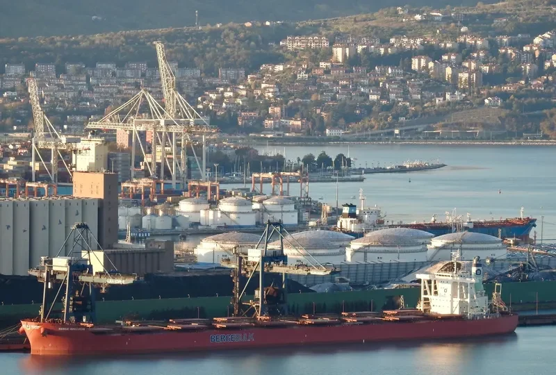 BERGE ISHIZUCHI Bulk Carrier IMO 9446570 photo 7