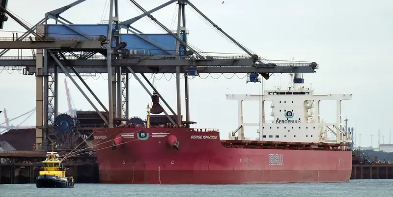 BERGE ISHIZUCHI Bulk Carrier IMO 9446570 photo 8