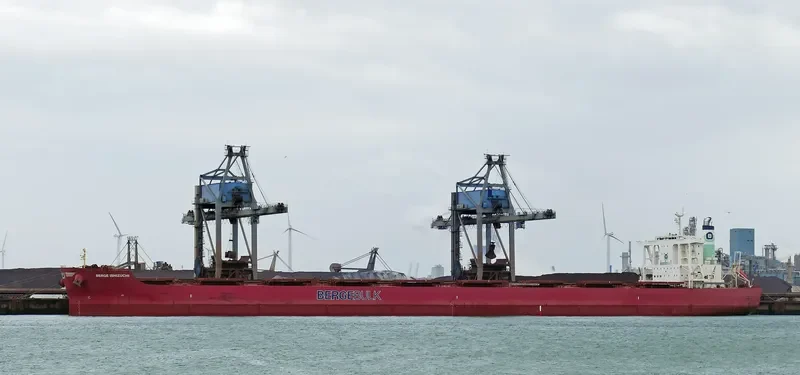 BERGE ISHIZUCHI Bulk Carrier IMO 9446570 photo 10